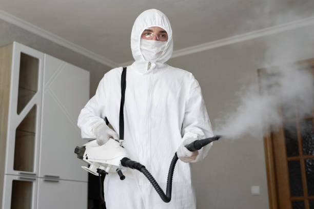 Professional Mold Removal Services in Hurleyville, NY